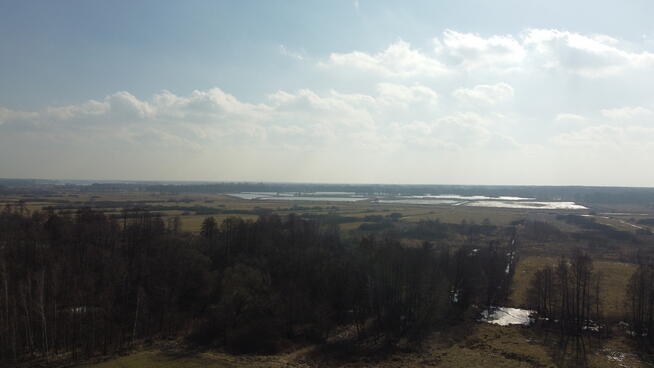 Żminne!!! Atrakcyjna działka w pięknym otoczeniu.