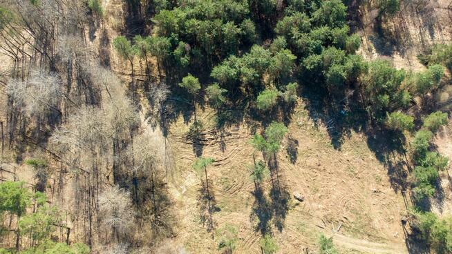 Działka budowlana Elgnówko gm. Olsztynek