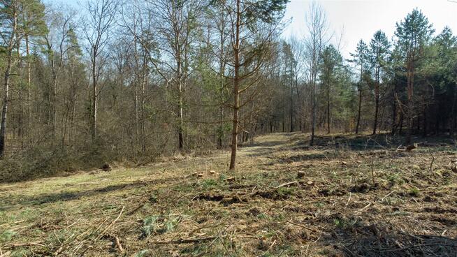 Działka budowlana Elgnówko gm. Olsztynek