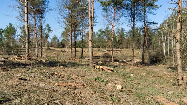 Działka budowlana Elgnówko gm. Olsztynek