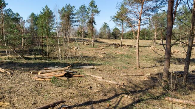 Działka budowlana Elgnówko gm. Olsztynek