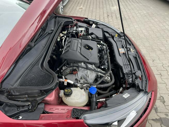 Ford Focus Salon PL Automat Podgrzewane: Szyba, fotele, kierownica Kamera