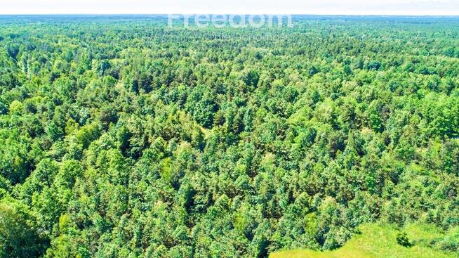 Działka/17 HA/Włodawa/Sobibór/Rzeka Bug