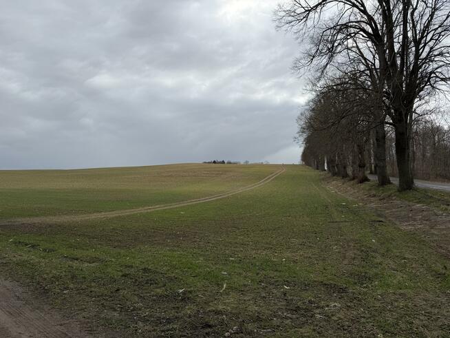 Działka budowlana Białokury gm. Siemyśl