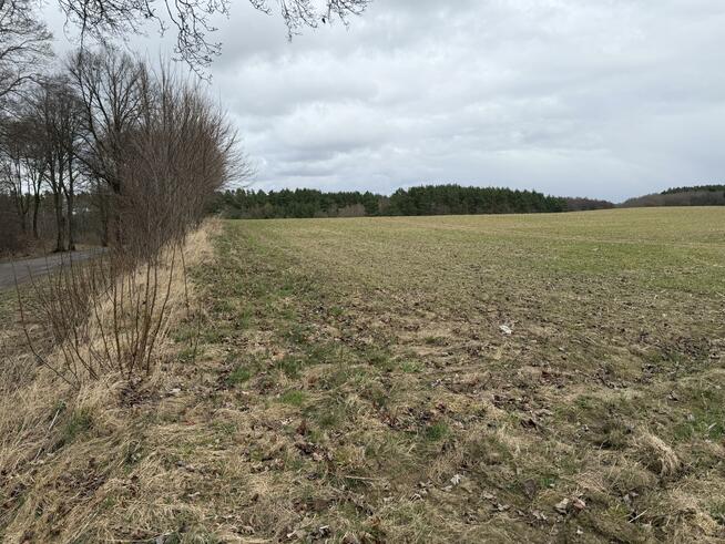 Działka budowlana Białokury gm. Siemyśl