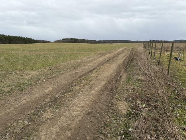 Działka budowlana Białokury gm. Siemyśl