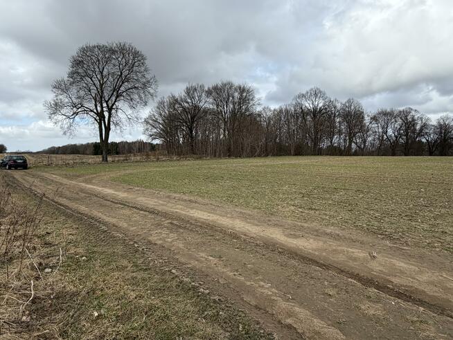 Działka budowlana Białokury gm. Siemyśl