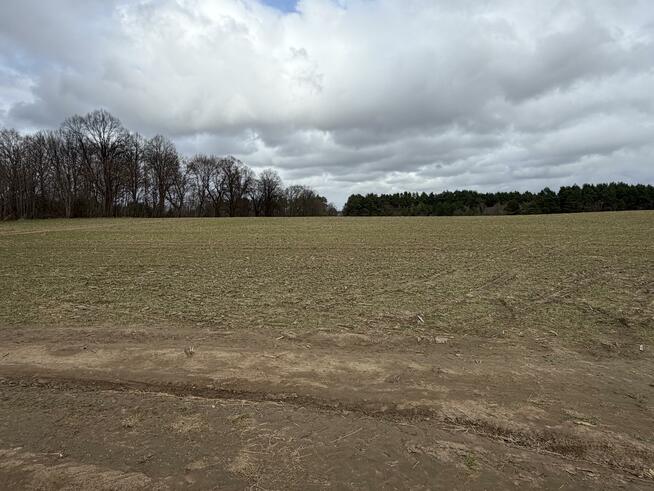 Działka budowlana Białokury gm. Siemyśl