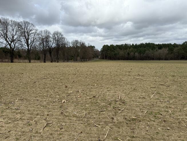 Działka budowlana Białokury gm. Siemyśl