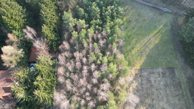 Działka budowlana Puszczykowo, Azaliowa