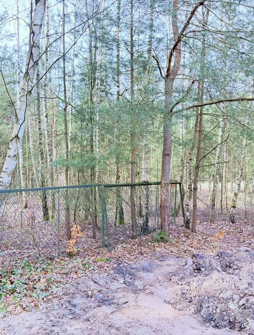 Działka budowlana Puszczykowo, Azaliowa