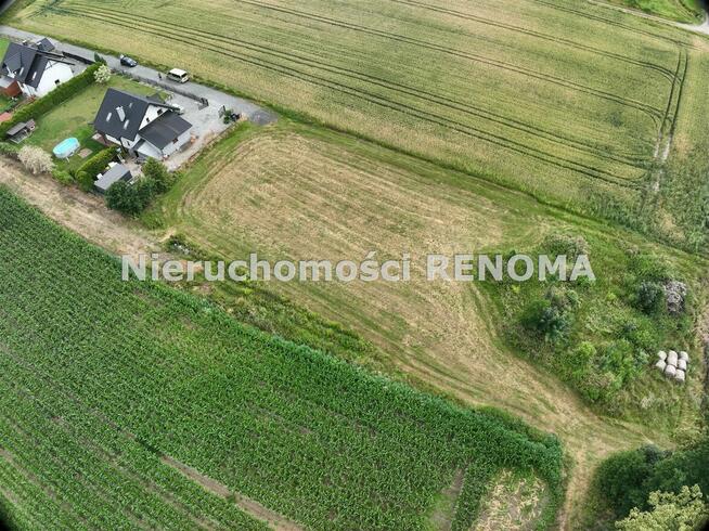 Działka Krzyżowice gm. Pawłowice, Szkolna
