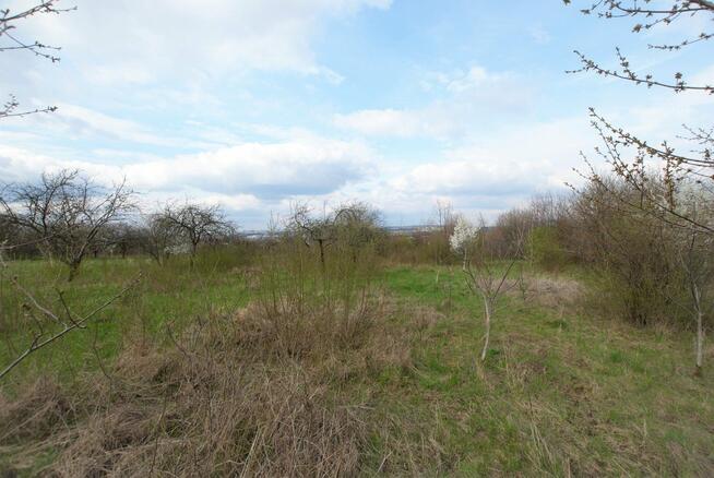 Działka inwestycyjna Kielce KSM, Zagórska