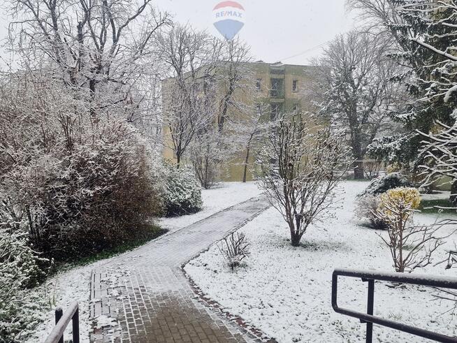 Mieszkanie blisko centrum