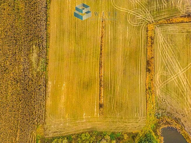 Działka usługowa Nowa Wieś gm. Iława, Koralowa