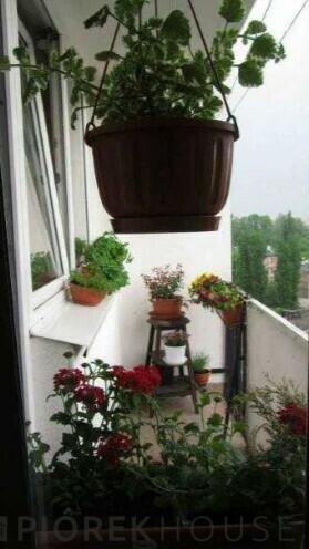 Kawalerka na Pradze-Północ