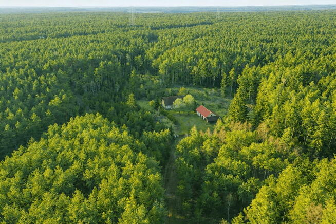 Dom w lesie - Biały Bór Oaza ciszy i spokoju