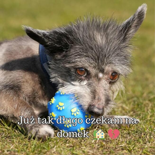 Dajmy szansę Titusiowi