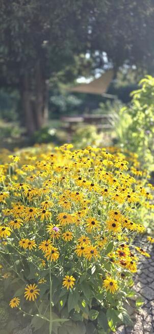 Dom z dala od zgiełku ale w mieście