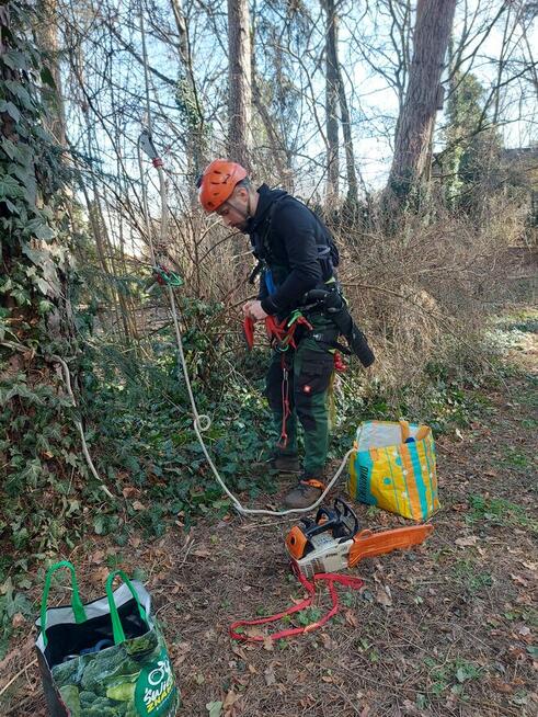 Przycinanie drzew, pielęgnacja drzew, wycinka Warszawa