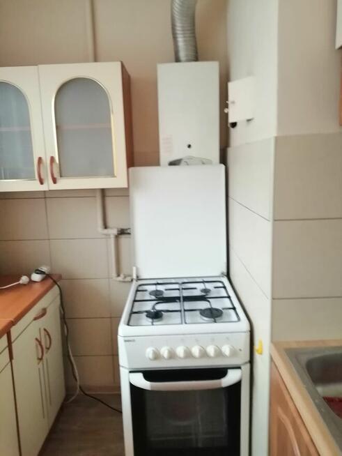Miesz do wynajmu od zaraz Tychy os F