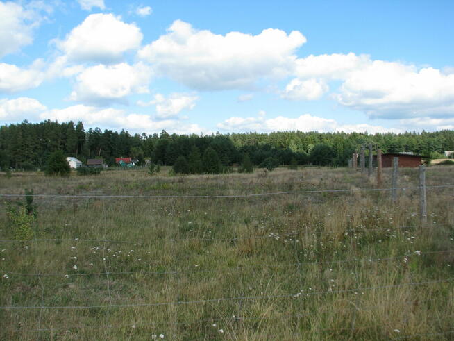 Atrakcyjna działka w sercu Puszczy Augustowskiej - jeziora,