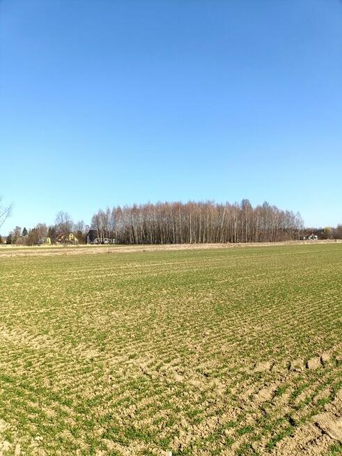 DZIAŁKI W ŚWIERZOWEJ POLSKIEJ