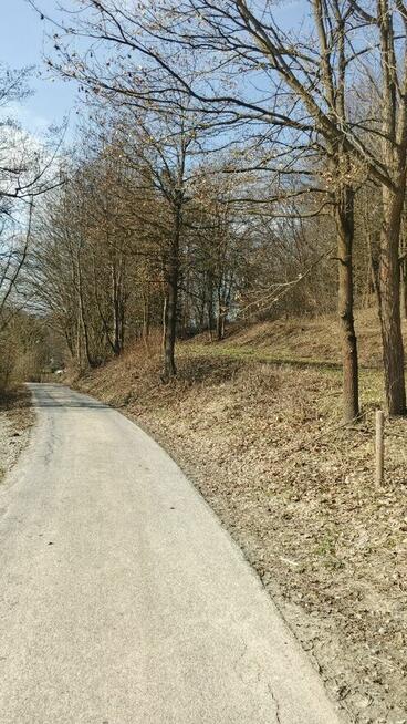 Działka Turze Pole 18a rekreacyjna 36-200