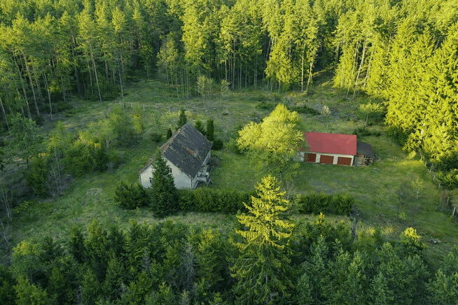 Dom w lesie - Biały Bór Oaza ciszy i spokoju