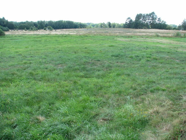 Atrakcyjna działka w sercu Puszczy Augustowskiej - jeziora,