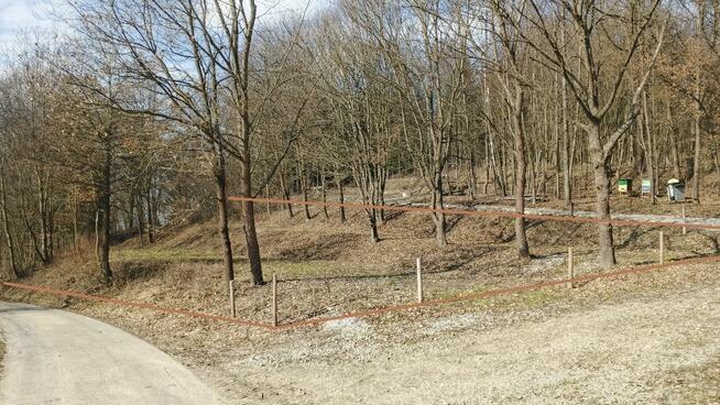 Działka Turze Pole 18a rekreacyjna 36-200