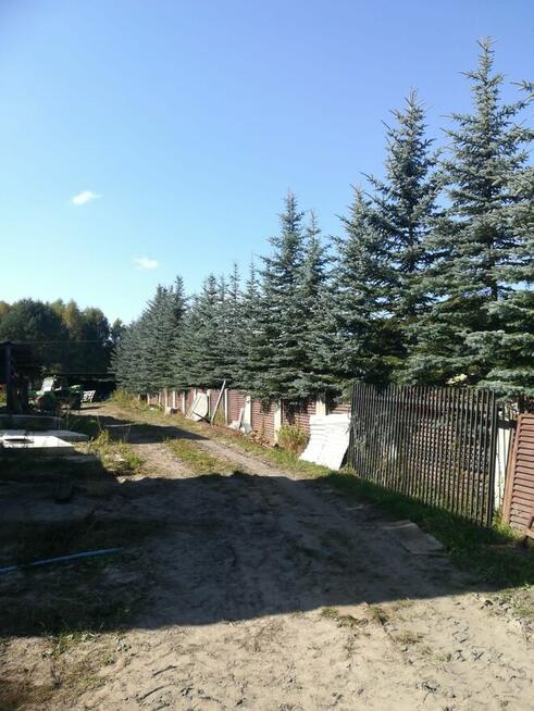 Dam pracę najlepiej małrzeństwu przy sprzątaniu dużej działk