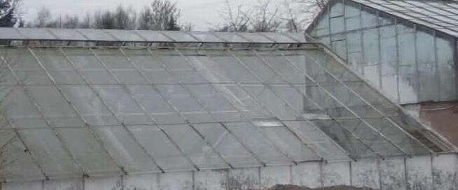 Szkło szklarniowe okienne szyba przeźroczyste 160x60cm 4mm