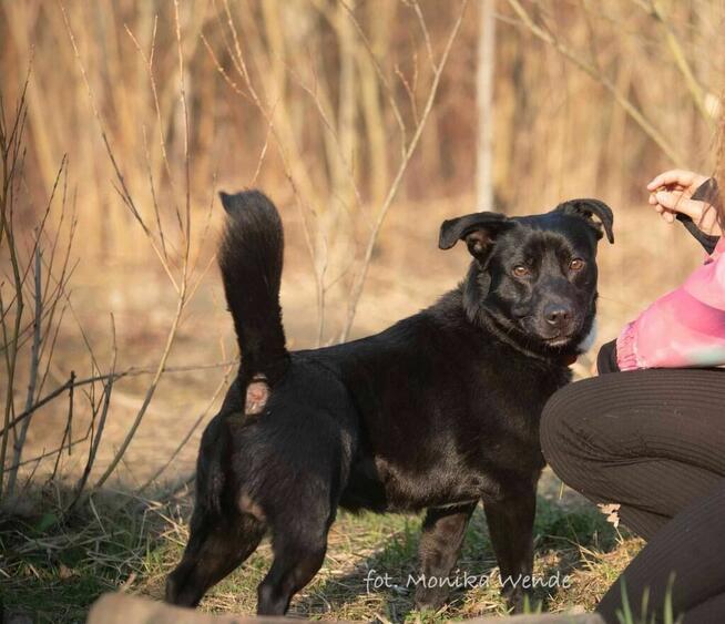 Roki – przystojniak który szuka swojego człowieka na zawsze