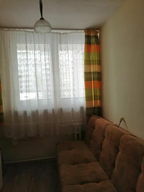 Miesz do wynajmu od zaraz Tychy os F