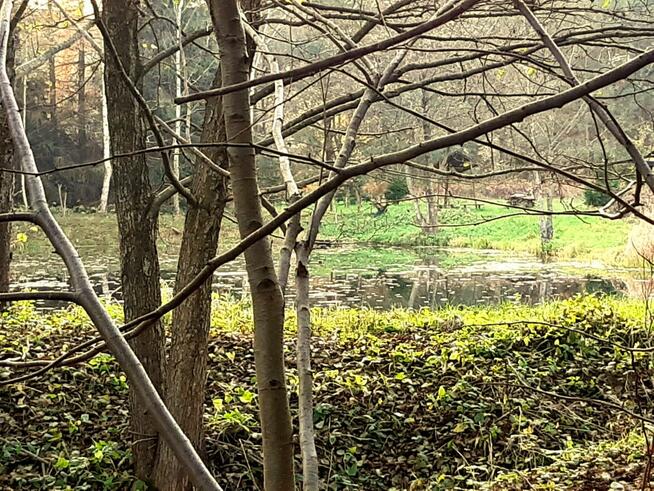 Działka budowlana z widokiem na stawy blisko jeziora i morza