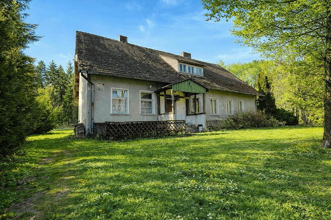 Dom w lesie - Biały Bór Oaza ciszy i spokoju