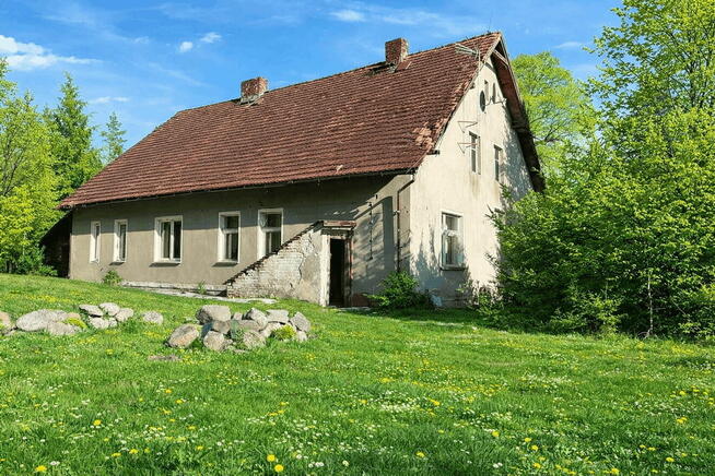Dom w lesie - Biały Bór Oaza ciszy i spokoju