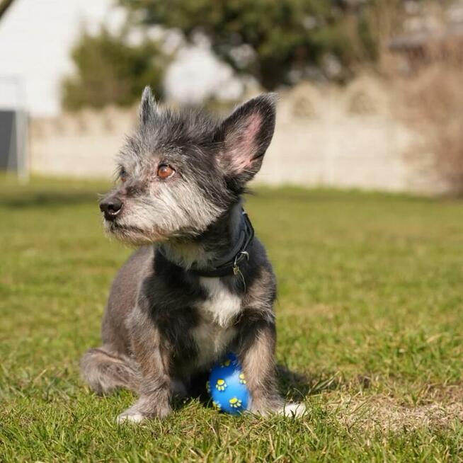 Dajmy szansę Titusiowi