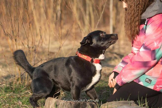 Roki – przystojniak który szuka swojego człowieka na zawsze