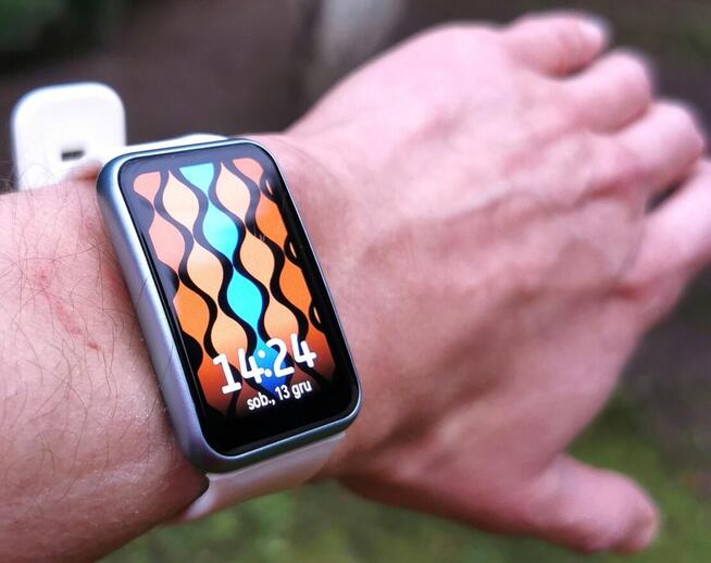 Smartwach Huawei Watch Fit 1 SE Trzy Paski Etui 1 Właściciel