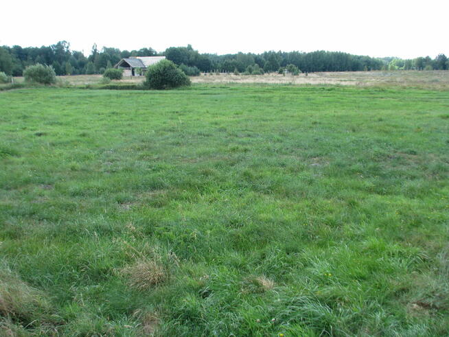 Atrakcyjna działka w sercu Puszczy Augustowskiej - jeziora,