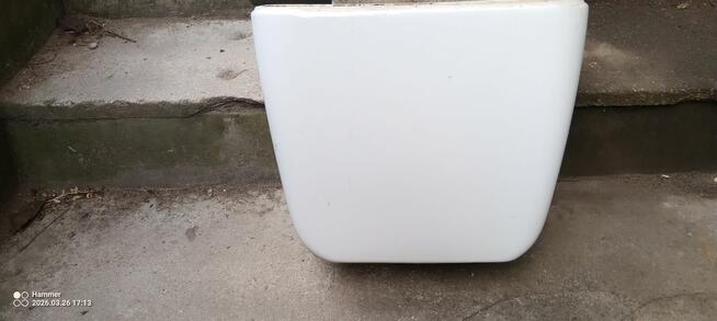 muszle wc umywalki i spłuczki