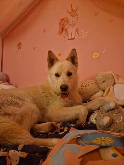 Cudowny aktywny młodziak czeka na ciebie