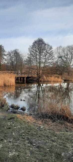 Hotelik na Pieknej Piaseczno