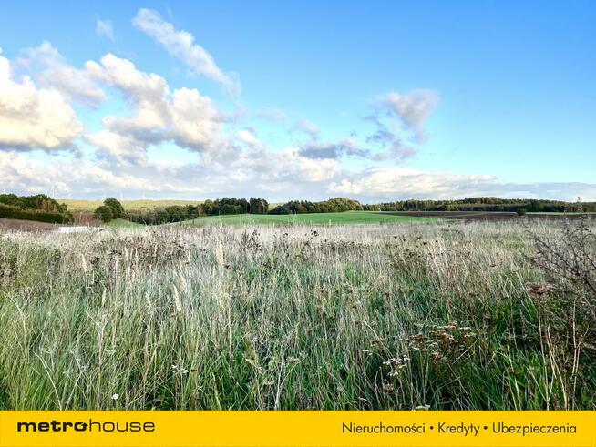 Duża działka z warunkami zabudowy w dobrej cenie!