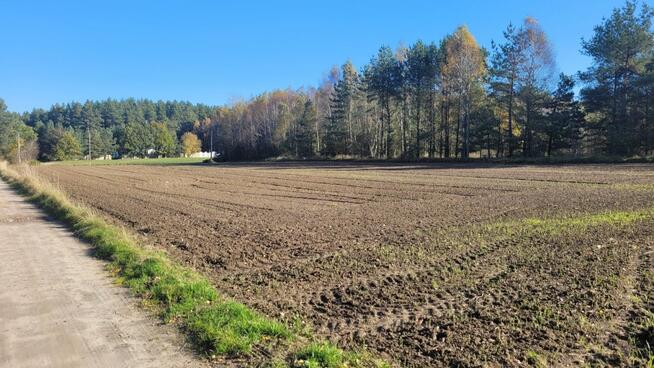 Działka budowlana Donimierz gm. Szemud, Piekiełko