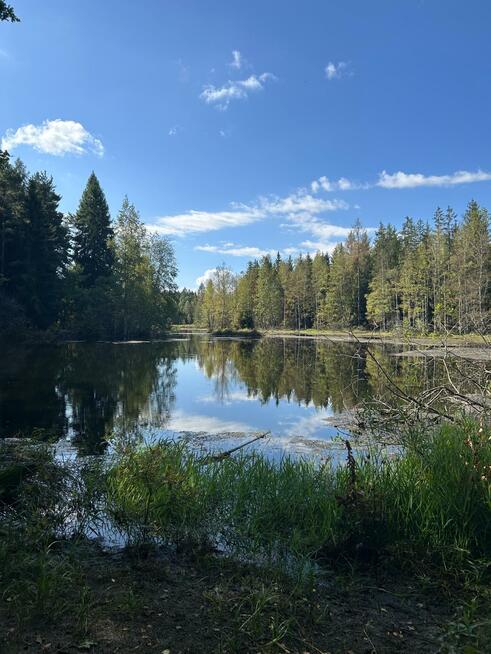 Działka siedliskowa Łomnica gm. Mysłakowice, Karpnicka