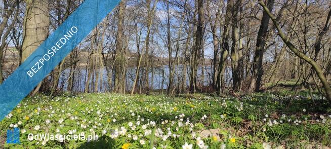 ? Wyjątkowa działka rekreacyjna blisko jeziora | Radzynek, gm. Brzuze ?