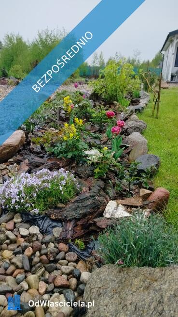 ? Wyjątkowa działka rekreacyjna blisko jeziora | Radzynek, gm. Brzuze ?